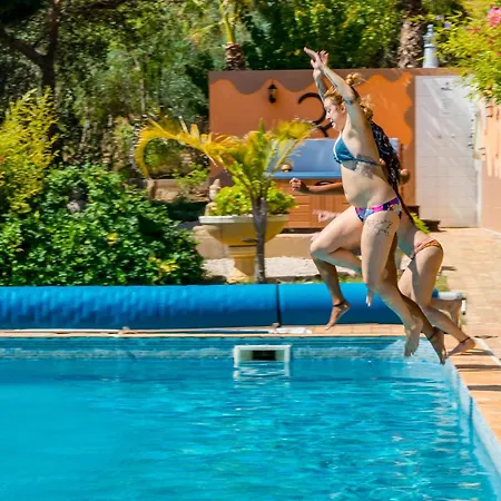 Moinhos Velhos Nature Healing Retreat