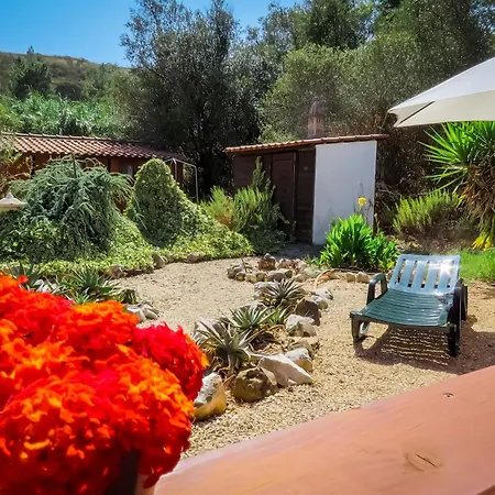 Resort Moinhos Velhos Nature Healing Retreat *