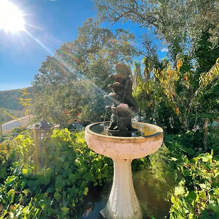 Moinhos Velhos Nature Healing Retreat Lagos