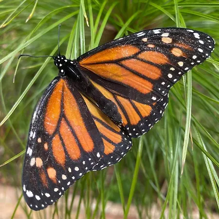 Moinhos Velhos Nature Healing Retreat Resort