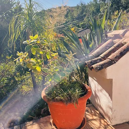 Moinhos Velhos Nature Healing Retreat