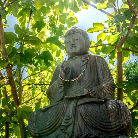 Resort Moinhos Velhos Nature Healing Retreat