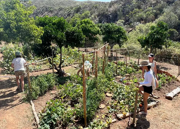 Moinhos Velhos Wellness Retreat *
