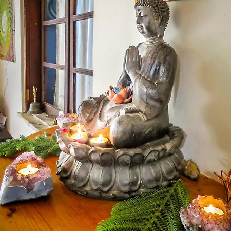 Üdülőközpont Moinhos Velhos Nature Healing Retreat