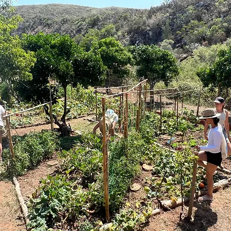 Moinhos Velhos Nature Healing Retreat *