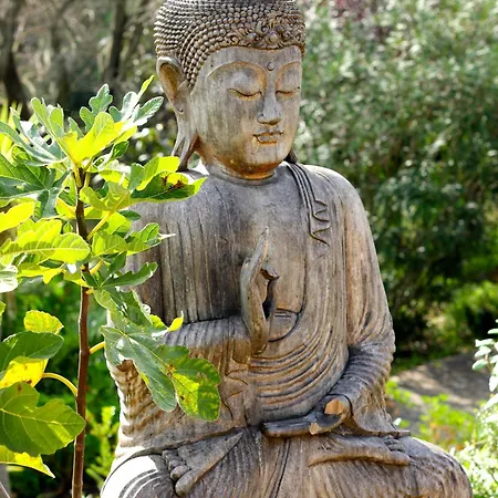 Moinhos Velhos Nature Healing Retreat * Lagos