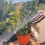 Moinhos Velhos Wellness Retreat