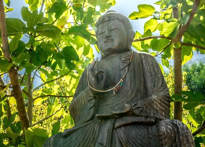 리조트 Moinhos Velhos Wellness Retreat